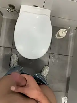 Turkishleo
