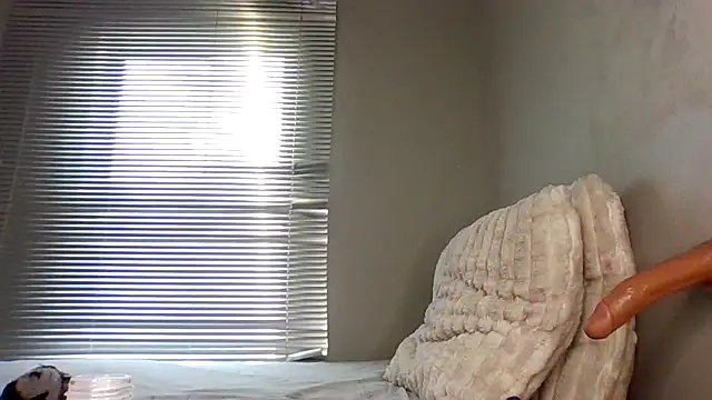 Arrbain webcam