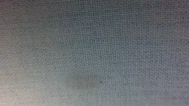 shag369 webcam
