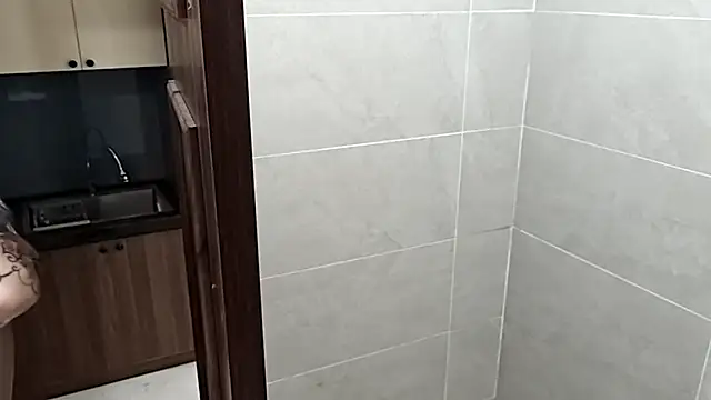 Silent_Stitch webcam