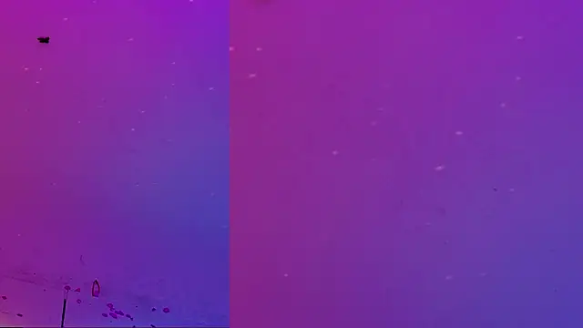 TNT-Sister webcam