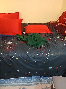 INDIANDESIMATURE webcam