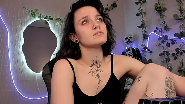 Elastikisss webcam