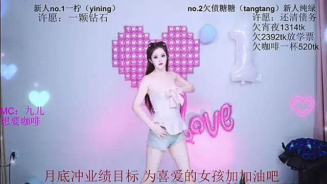 CCTW-100 webcam
