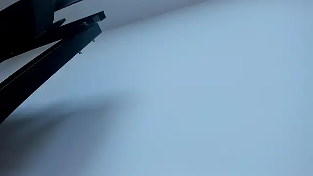 VioletRose_as