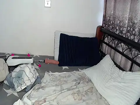 Whimsicalwillow webcam