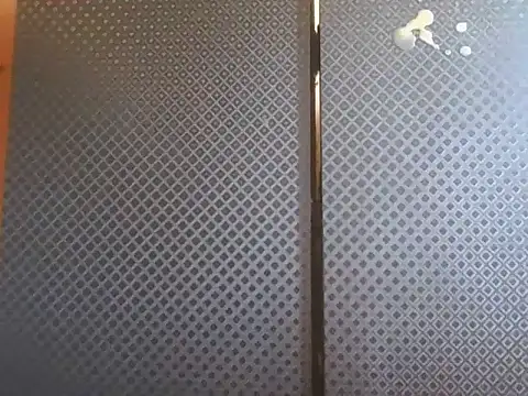 projectdivad webcam