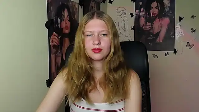 StellaCRL webcam