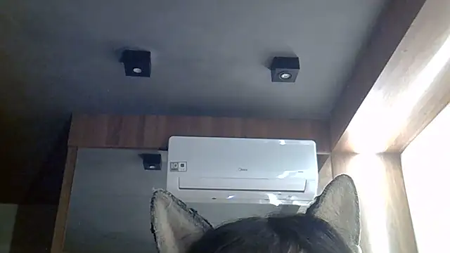 SkinnyKitten webcam