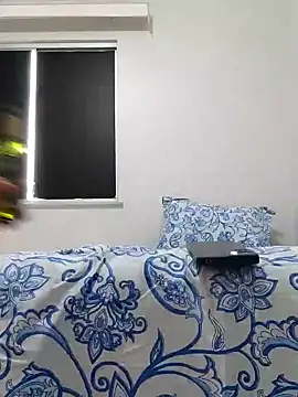 Silvakkfitk webcam