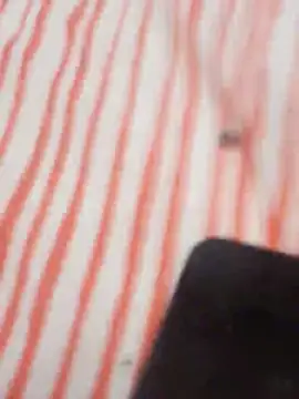 MRbigc23 webcam