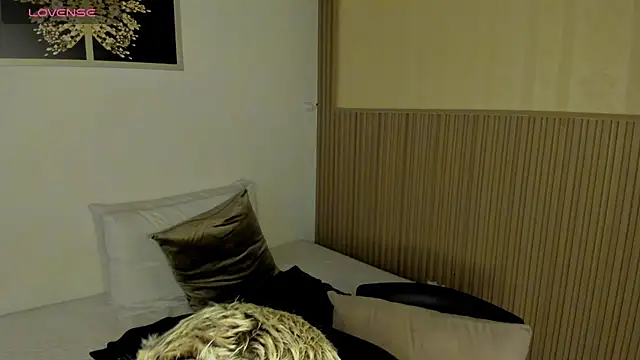 summer_night_ webcam
