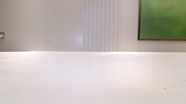EnEn_xiaobao webcam