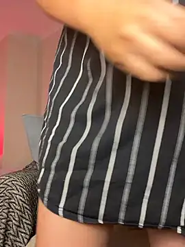 Samispank webcam