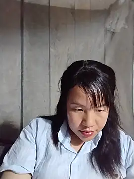 -Nara- webcam