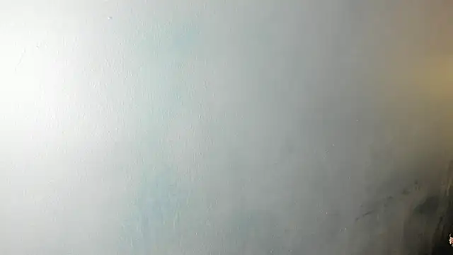 Charlie___Musk webcam