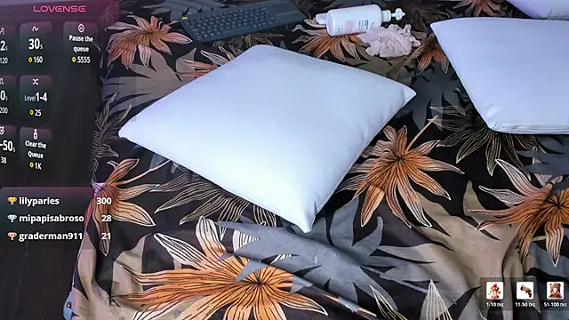 _Cherry_fox webcam