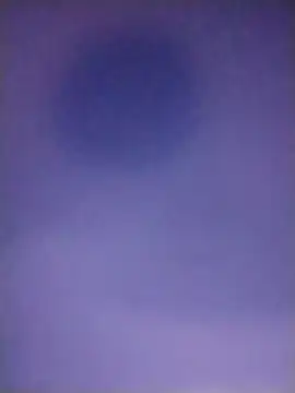 collboy8166 webcam