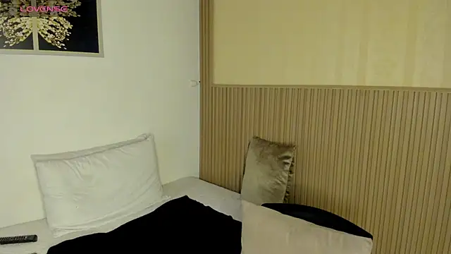 summer_night_ webcam