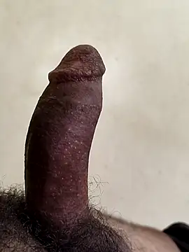 alkhabiir webcam