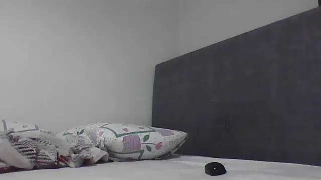 MarkusBerq_H webcam