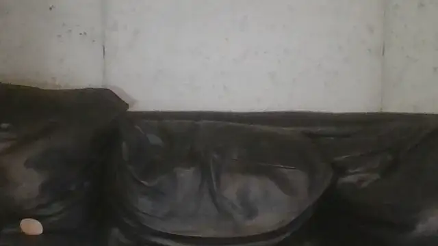 babyizzie webcam