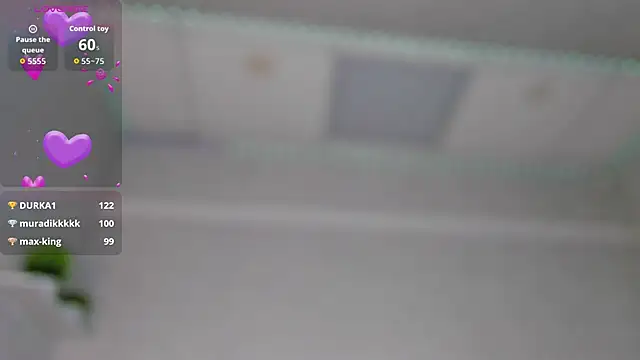 EricaElliott webcam