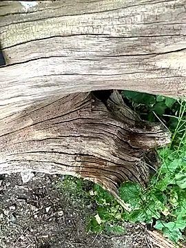 Oliverhnt webcam