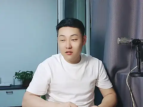 Llpl322 webcam