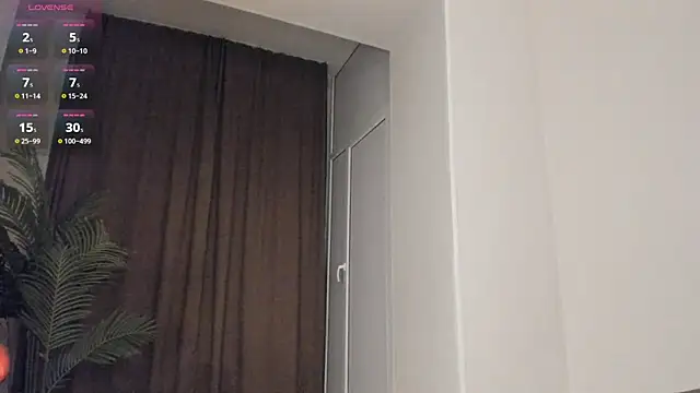 Yun_le webcam