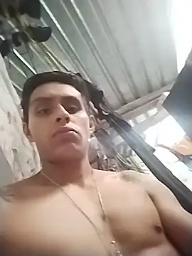 Lujo560 webcam