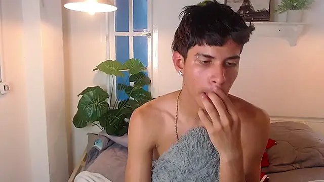 Jesve webcam