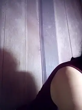 toyo_668 webcam