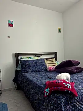 IrisBound webcam