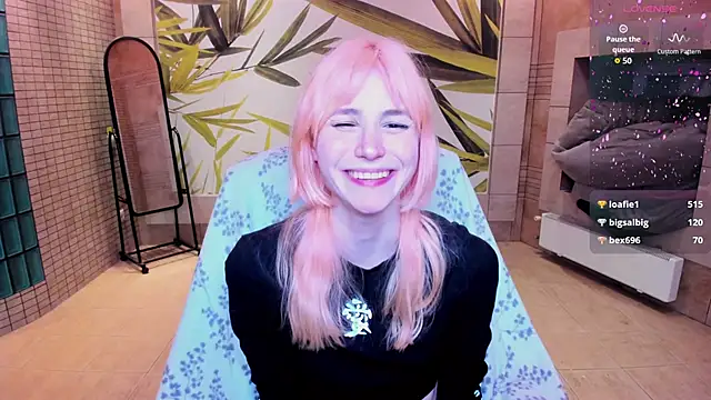 fleximona webcam
