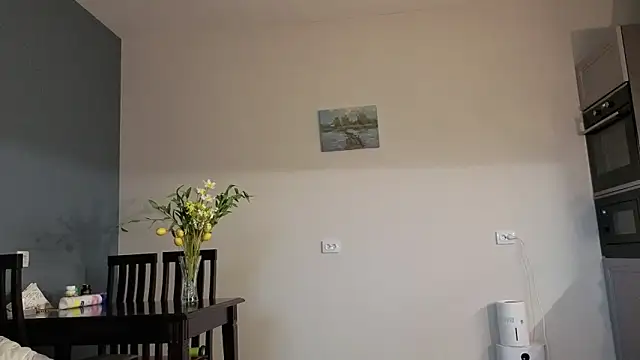 missbenz webcam