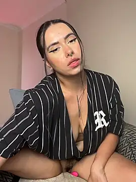 Samispank webcam