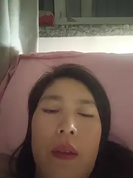 LL-001 webcam