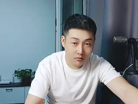 Llpl322 webcam