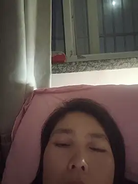 LL-001 webcam