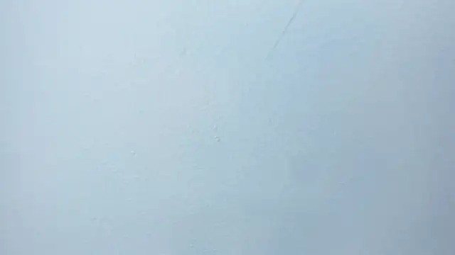 Charlie___Musk webcam