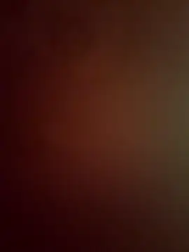 DarkfleX webcam