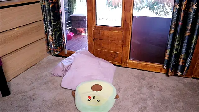 LittleMe97 webcam