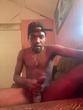 UNCUTKING10inch webcam
