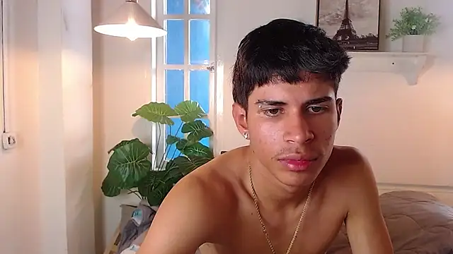 Jesve webcam