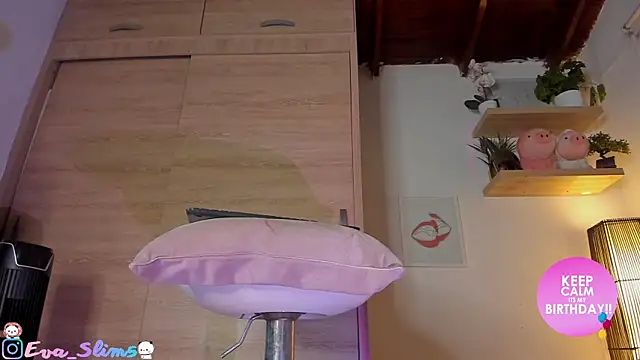 eva-slim- webcam