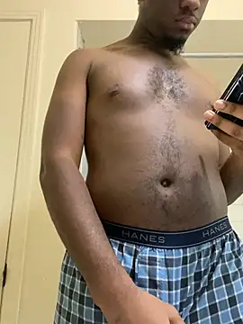 ThickDic28 webcam