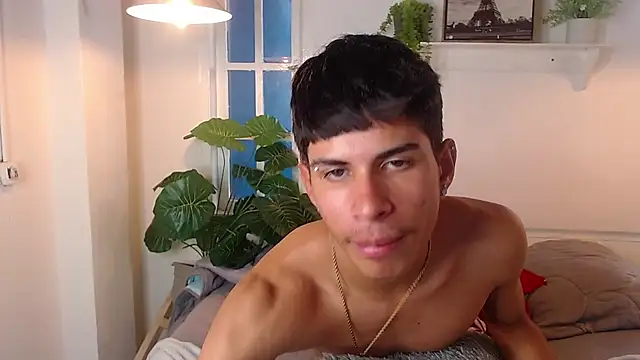 Jesve webcam