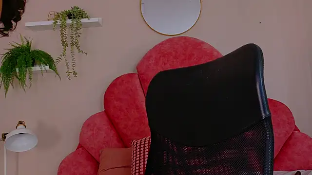 eva_daemon webcam