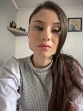 Ariaferrer webcam